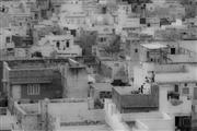 Lost in the roofs fade : Jodhpur, India